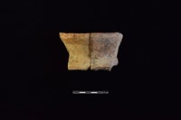 藏品(陶罐)的圖片